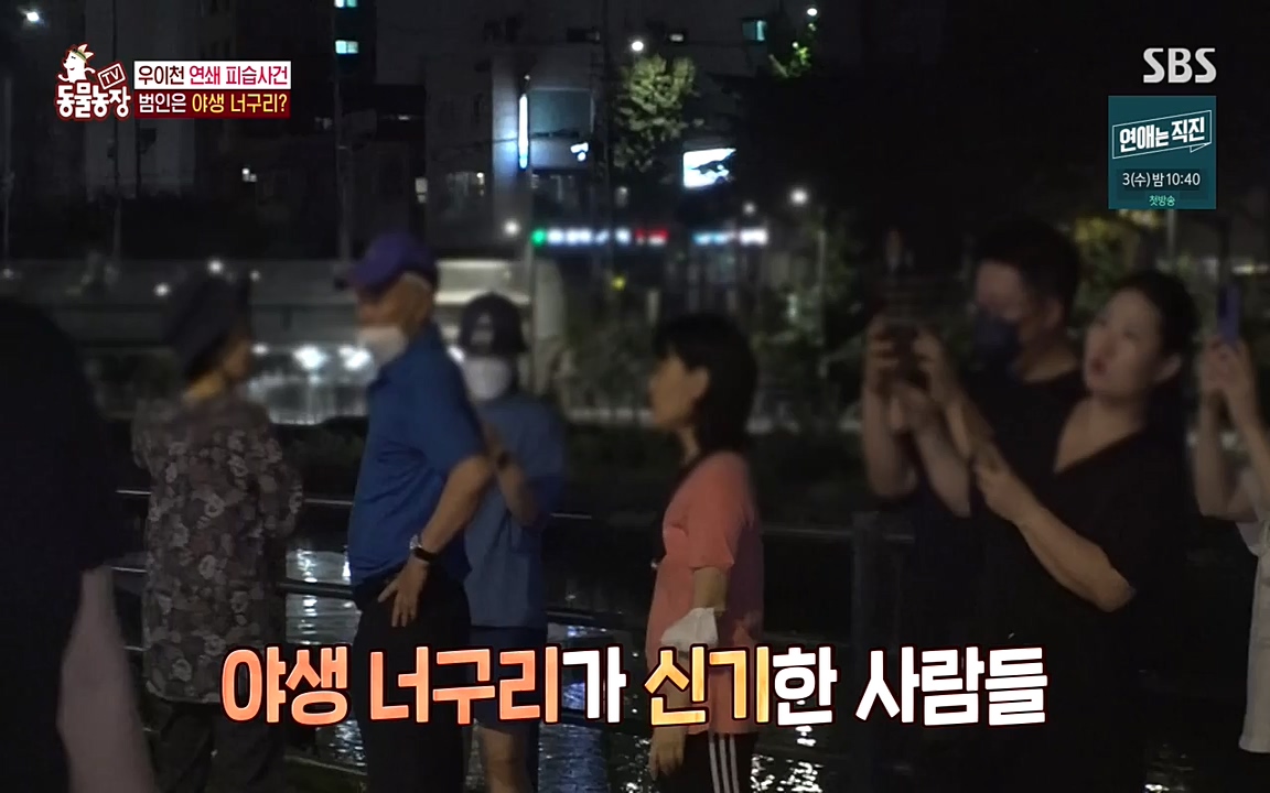 TV 동물농장.E1080.220732p-NEXT.mp4_20220731_174213.117.jpg