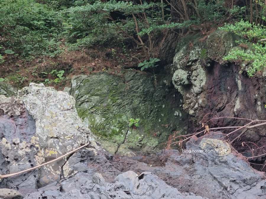 함께라면 전통테우 탑승 후기 제주 쇠소깍 어린 아이들과 42