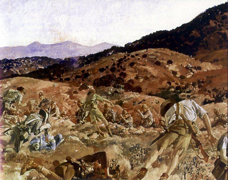 추눅 베이어 전투 오스만군과 뉴질랜드원정군의 교전