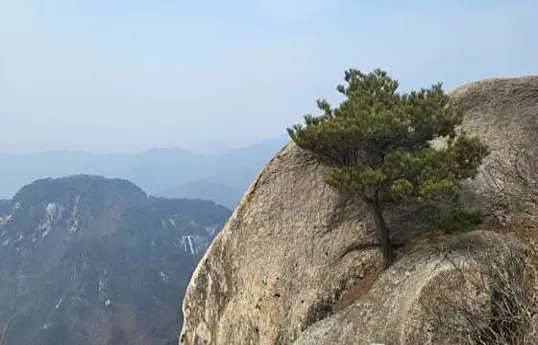 희양산