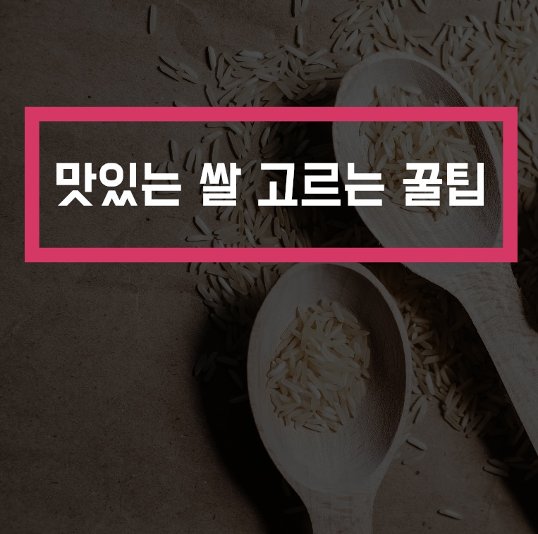  맛있는 쌀 고르는 꿀팁