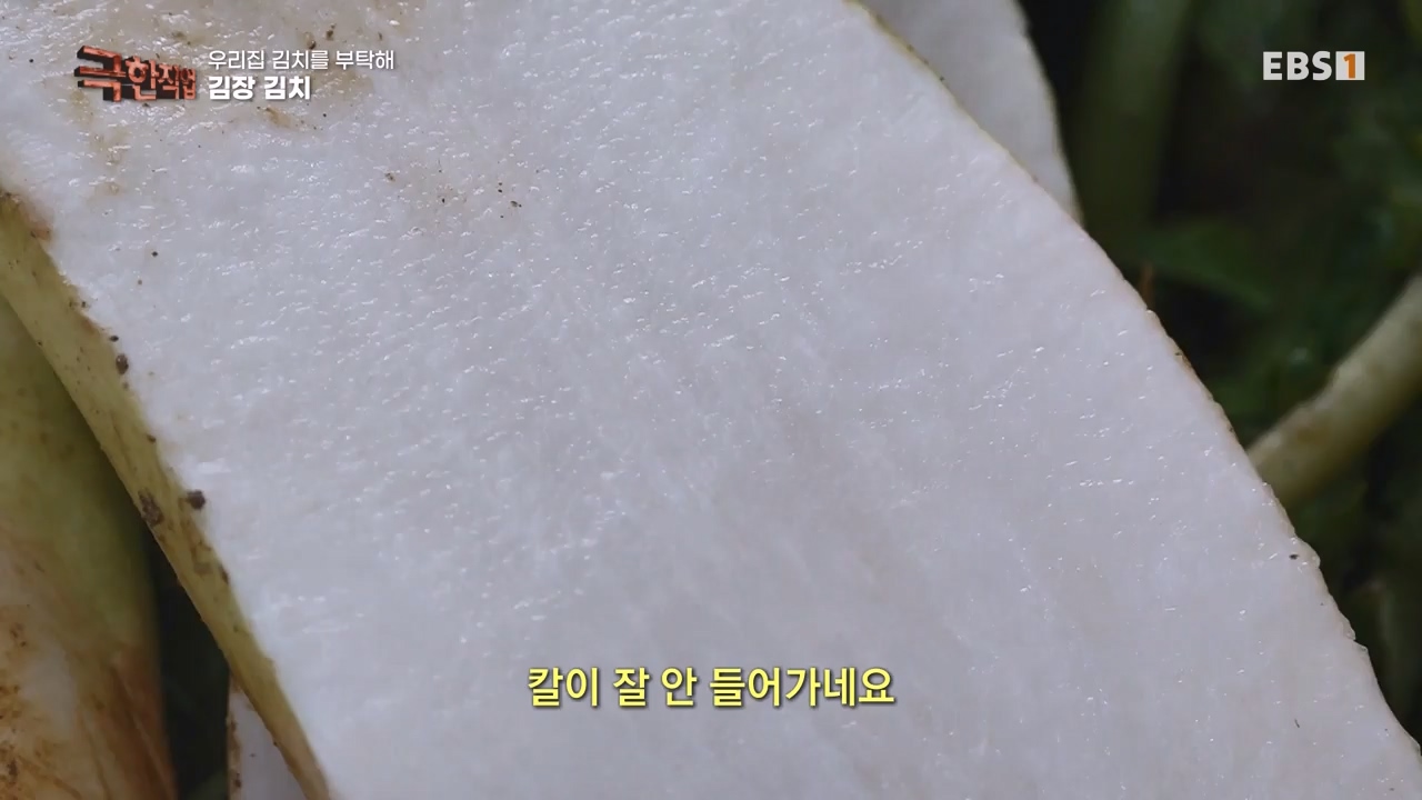 TV - 전 국민의 평생학교 EBS우리 집 김치를 부탁해.mp4_20231228_201810.037.jpg