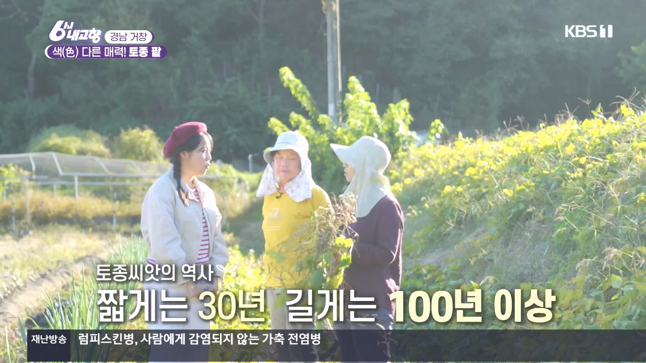 6시 내고향.E7897.231025p.H264-F1RST.mp4_20231025_195926.416.jpg