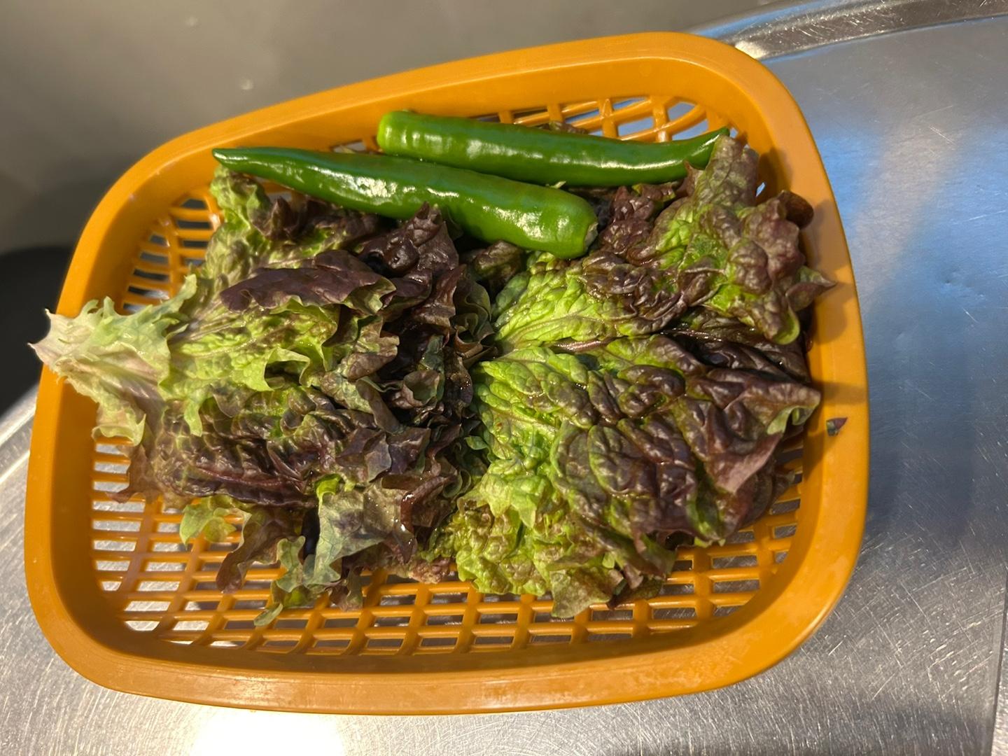 부산대패 이미지