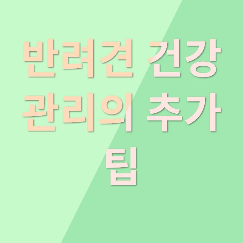 반려견 건강 관리_3