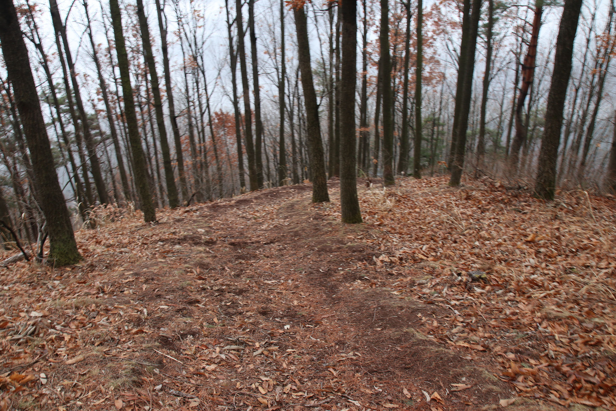 경남 의령군 국사봉 05 20