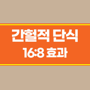 간헐적 단식 방법 16:8