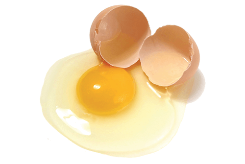 계란03