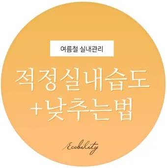 여름철 습도 관리 완벽 가이드 건강한 실내 환경_24