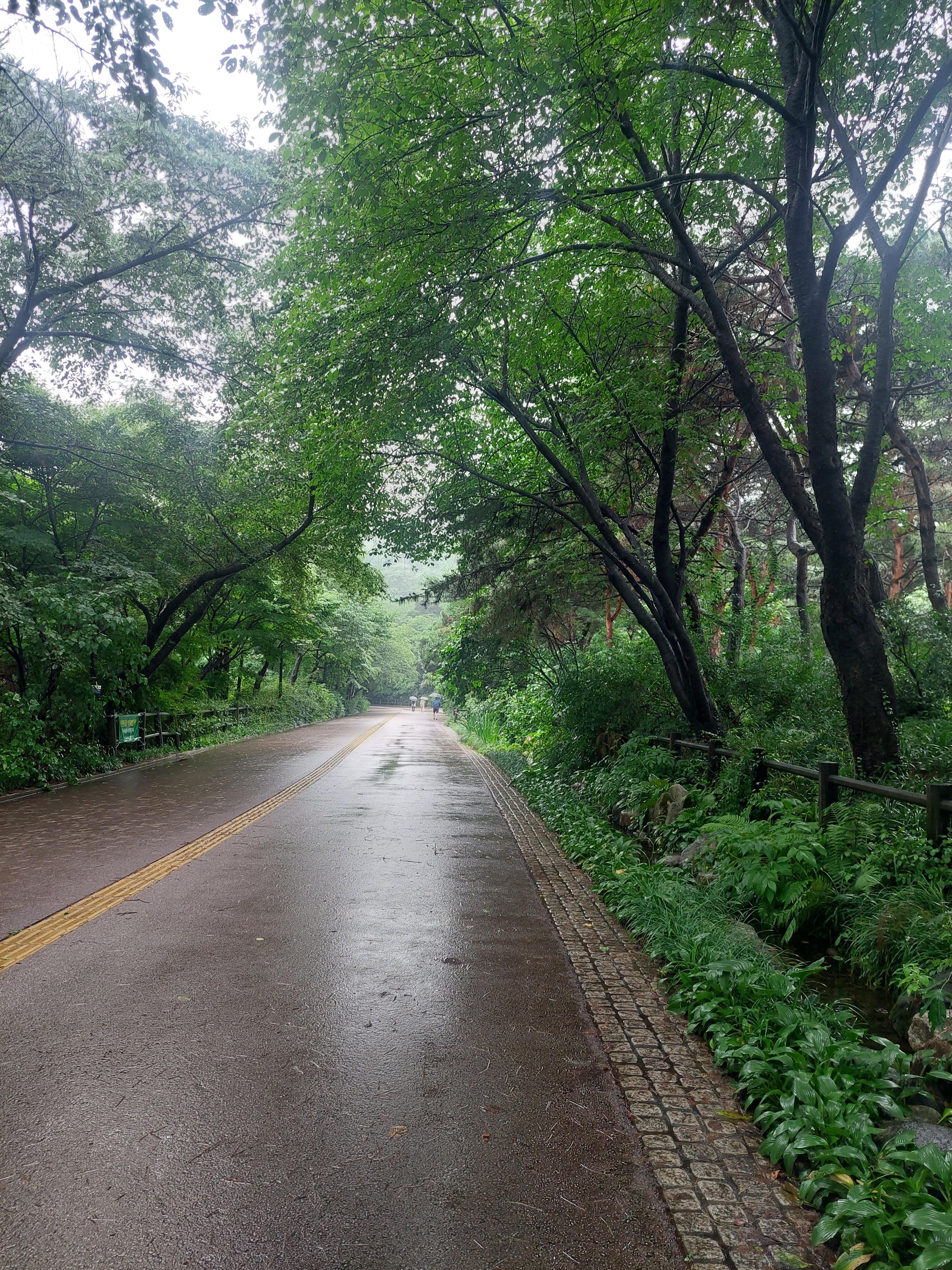 남산매봉산