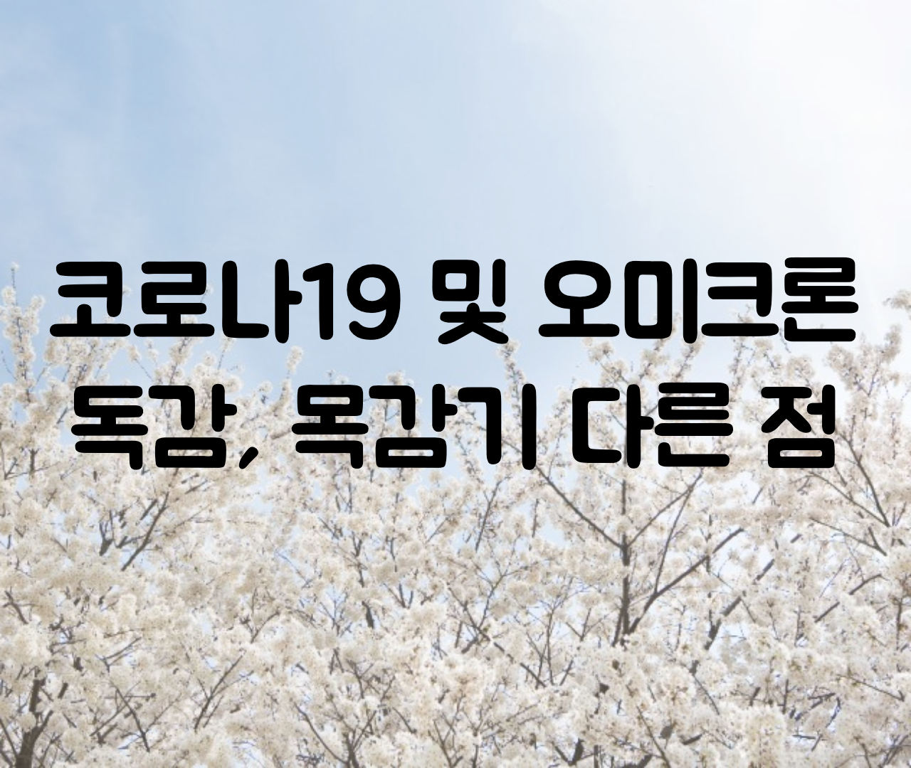  코로나19와 감기 차이 오미크론 증상 목감기 및 독감과 증상 차이