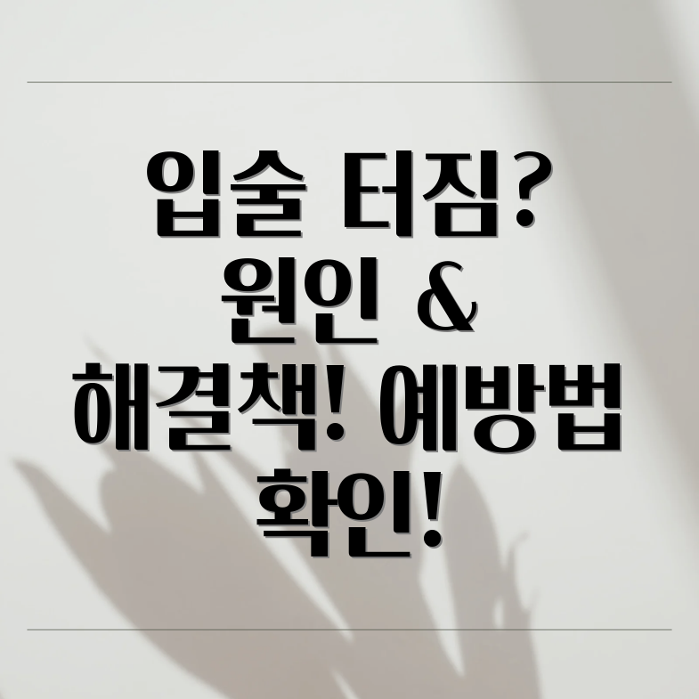 입술 터짐