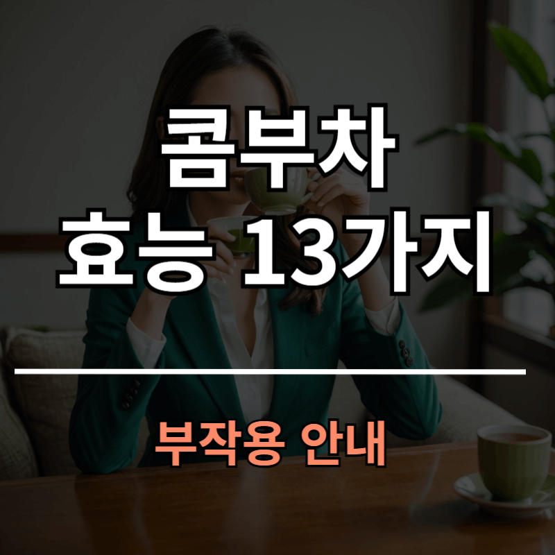 콤푸차 효능 13가지와 부작용