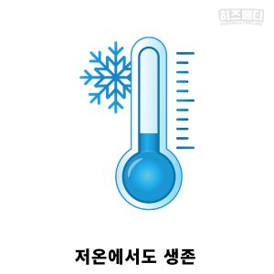 노로 바이러스 장염 증상 진단