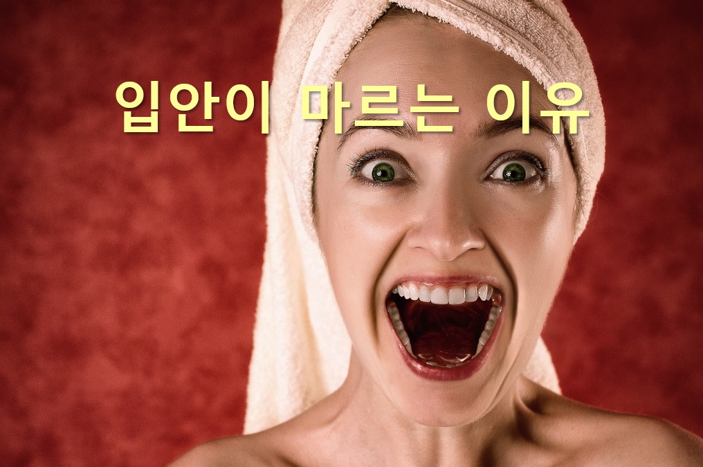  입안이 마르는 증상과 입안이 마르는 이유