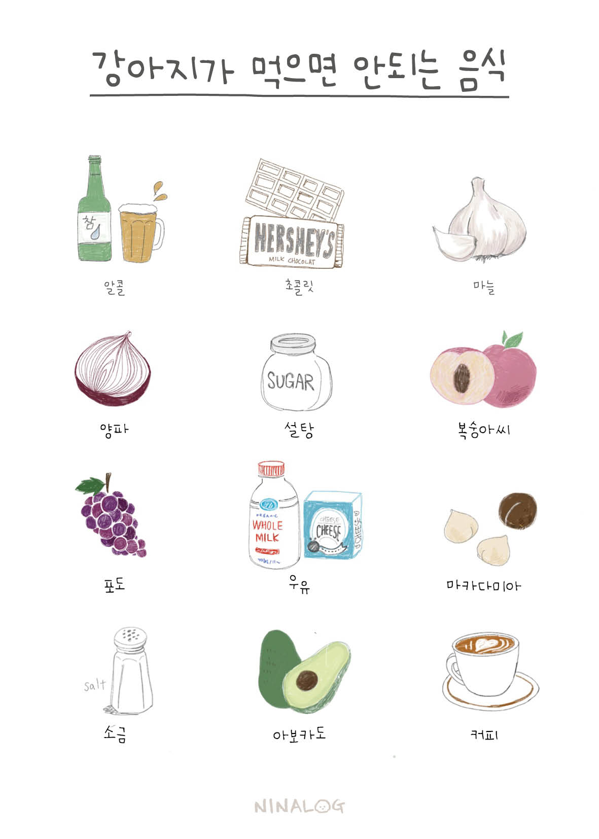 강아지 미나리, 먹지 말아야 할 음식을 주의하세요.