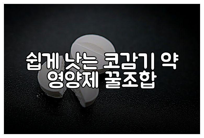 쉽게 낫는 코감기 약 영양제 꿀조합