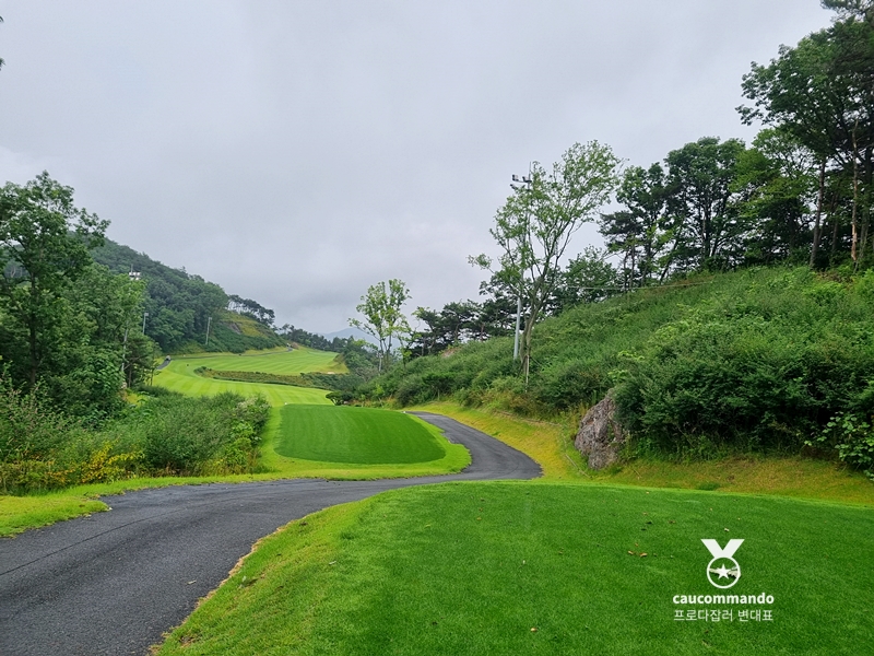 연예인 골프 순위 연예인들이 참여하는 9