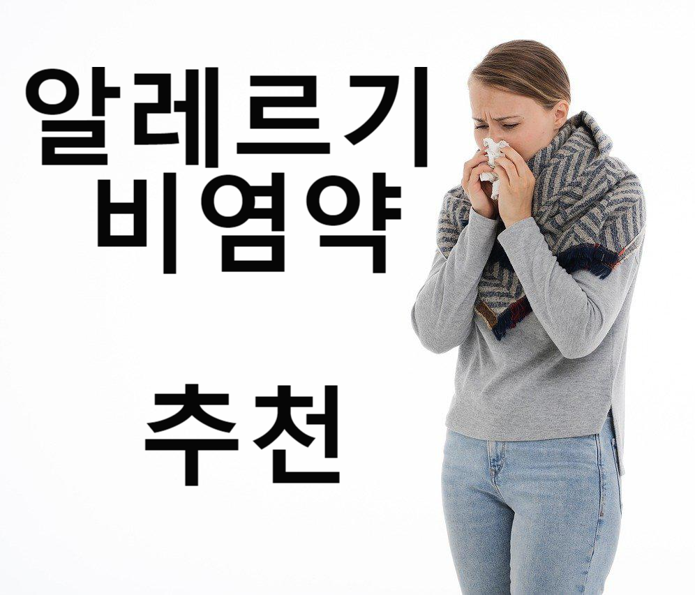 알레르기 비염약: 증상별 약 추천