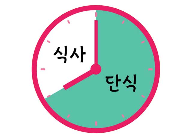 16:8 간헐적 단식