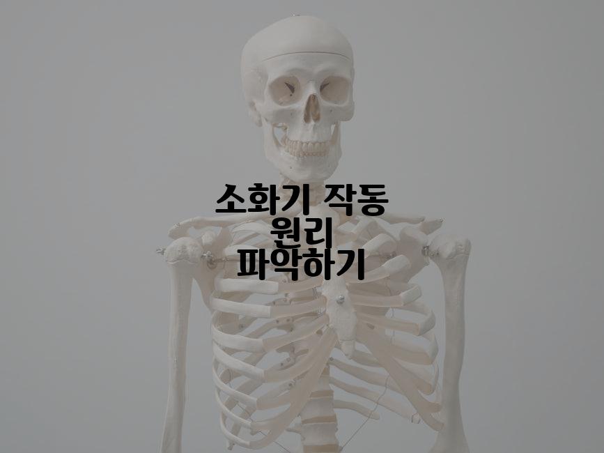 소화기 작동 원리 파악하기