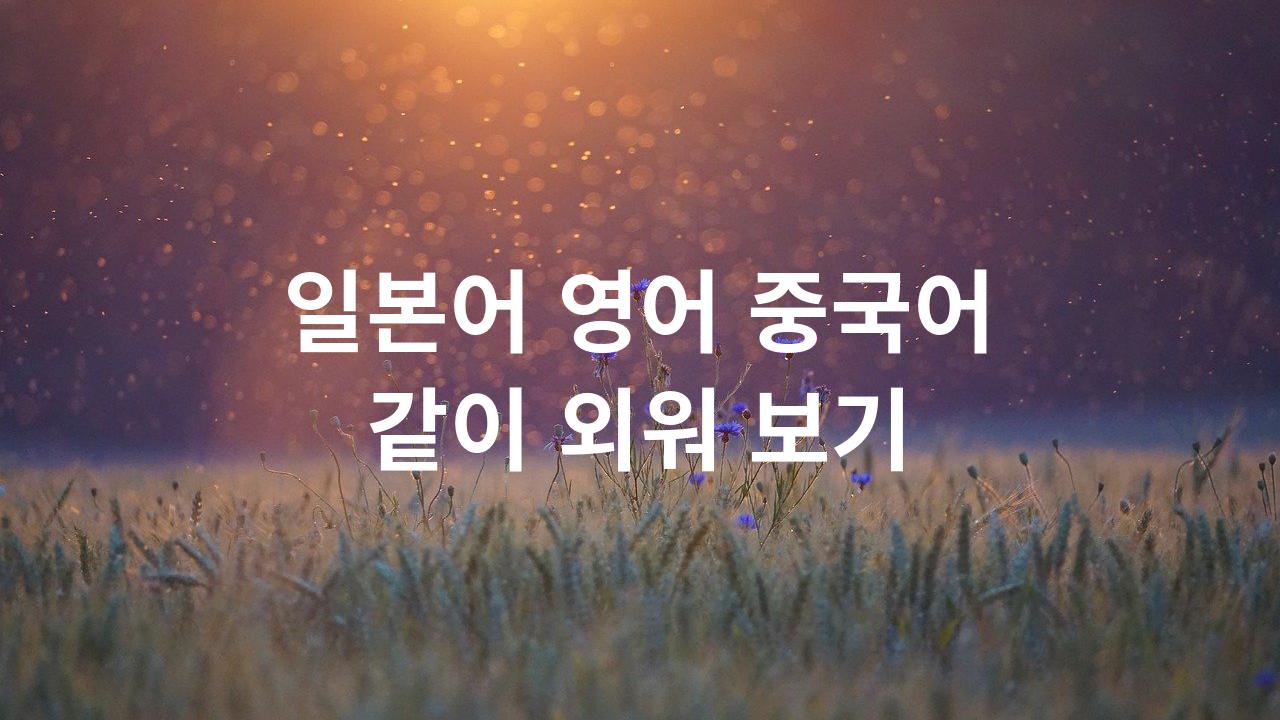  일본어,영어,중국어 같이 배워 보기