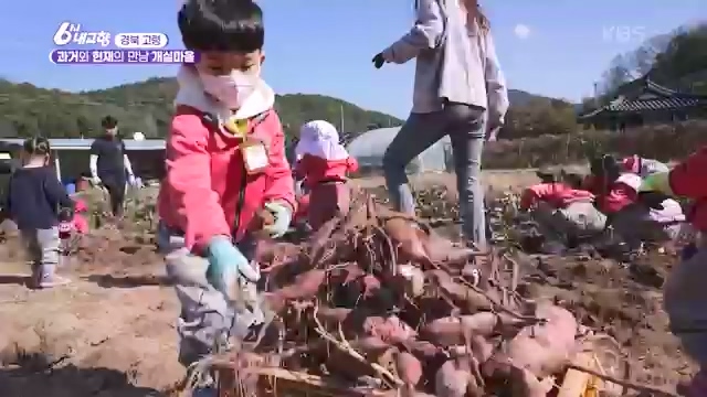 [7910회] 6시 내고향 - KBS[7910회] 6시 내고향[고령 축제 특집 중계] 과거와 현재의 만남! 개실마을 - 경북 고령 고령 가야 탐험대 보물을 찾아라 - 경북 고령 [출장! 내고향 요리사] 철의 왕국, 후손을 위한 요_20231115_205748.274.jpg