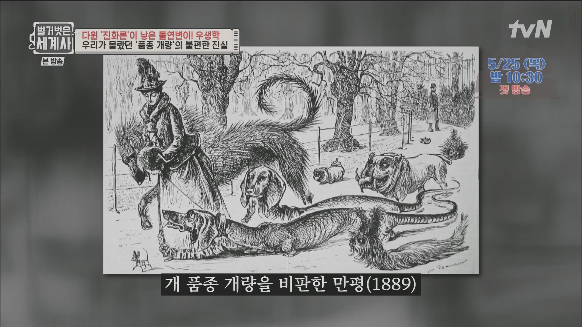 벌거벗은 세계사.E97.230502p.H264-F1RST.mp4_20231224_171029.390.jpg