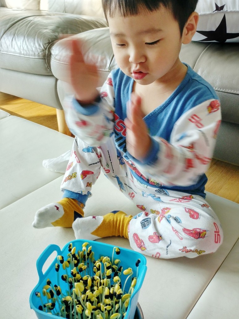 이게 뭐가 그렇게 행복해요? 아이와 함께 콩나물 키우기