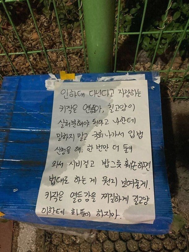 인하대 활동하는 캣맘의 테러