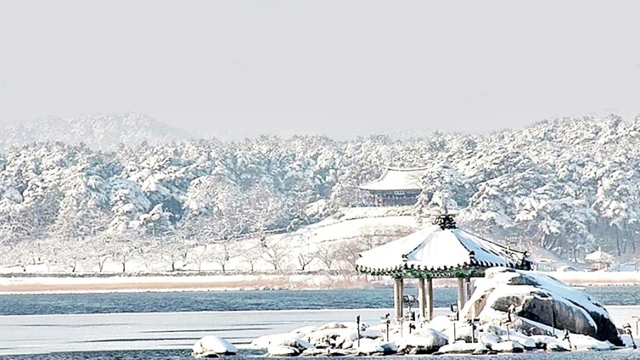 겨울 감성 충만! 강릉