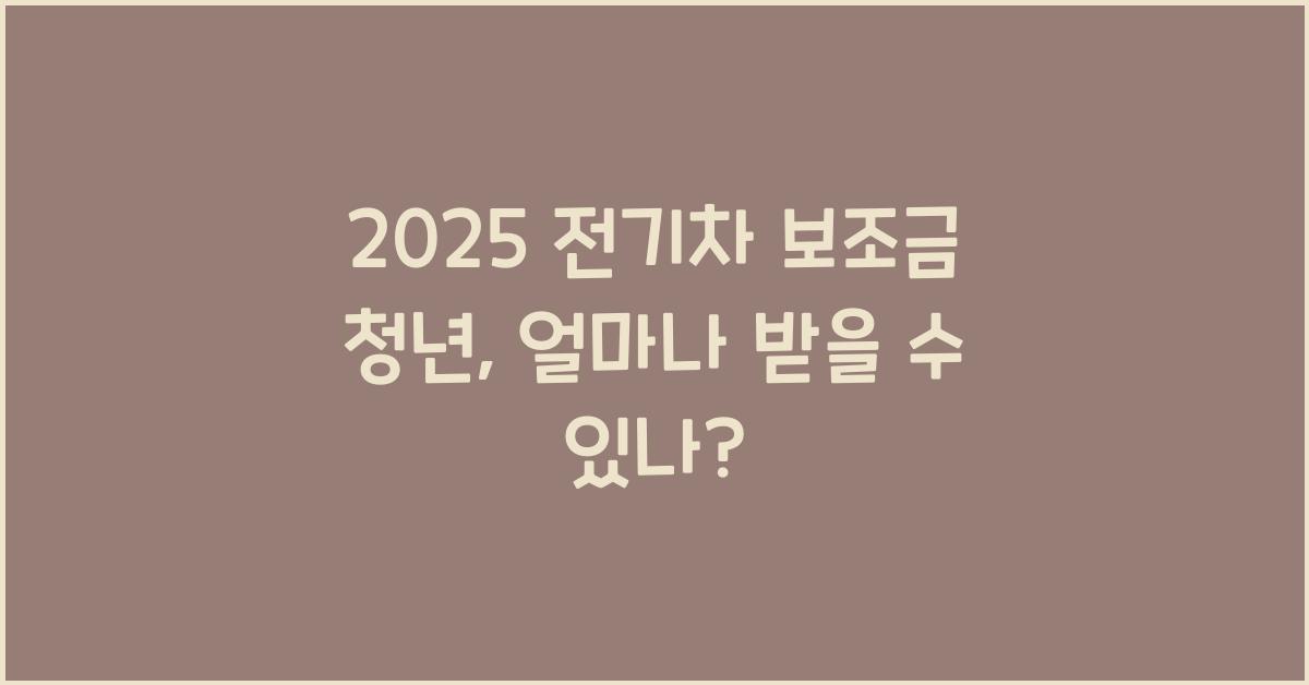 2025 전기차 보조금 청년