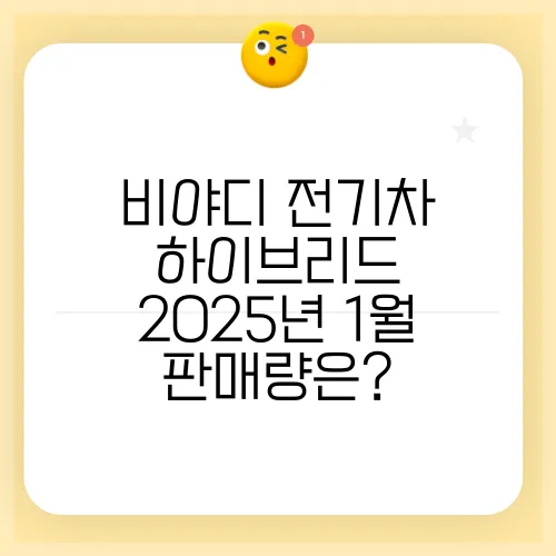 비야디 전기차 하이브리드 2025년 1월 판매량은?