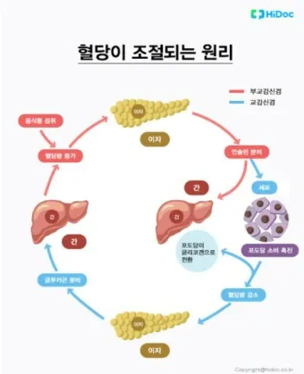 혈당 낮추는 방법 혈당관리식당 메뉴 식사법_4