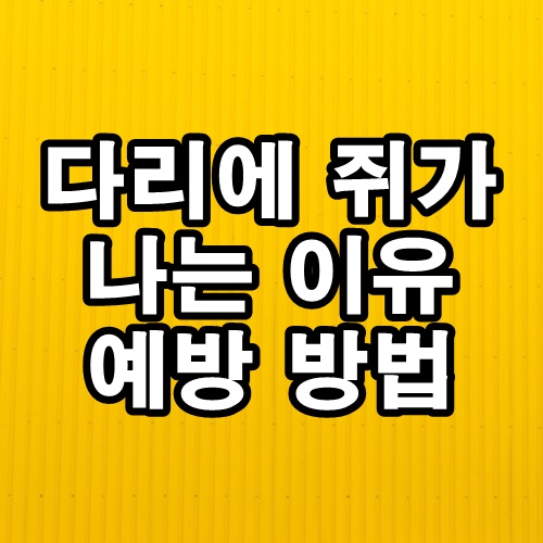  다리에 쥐가 자주 나는 이유와 예방법
