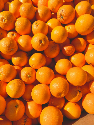 오렌지 이미지2