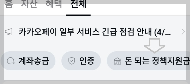 카카오톡 앱 정책지원금 보기