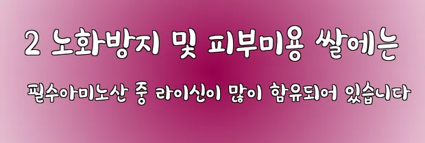  2 노화방지 및 피부미용 쌀에는 필수아미노산 중 라이신이 많이 함유되어 있습니다