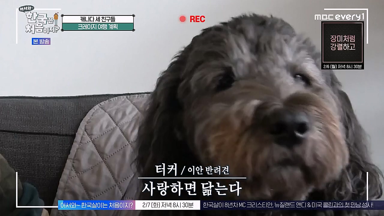 어서와 한국은 처음이지 시즌2.E248.230203p-NEXT.mp4_20230203_213508.925.jpg