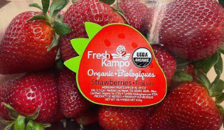 FreshKampo Organic Strawberries
