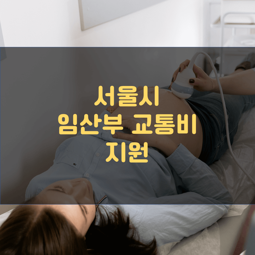 서울시 임산부 교통비 지원 신청 방법 및 신청 후 처리 기간