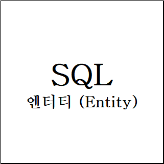  엔터티 (Entity)