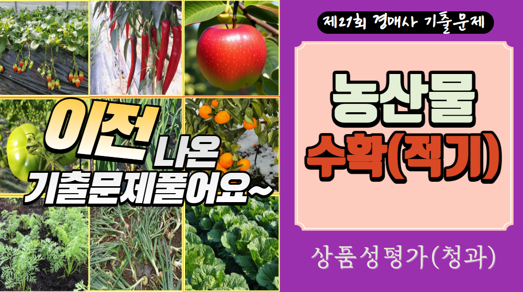  [제21회 경매사 기출문제-청과부류 상품성평가②] 언제 수확해야 좋지? "농산물 수확(적기)"