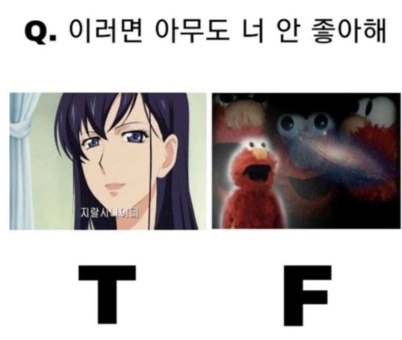 T형 F형 차이