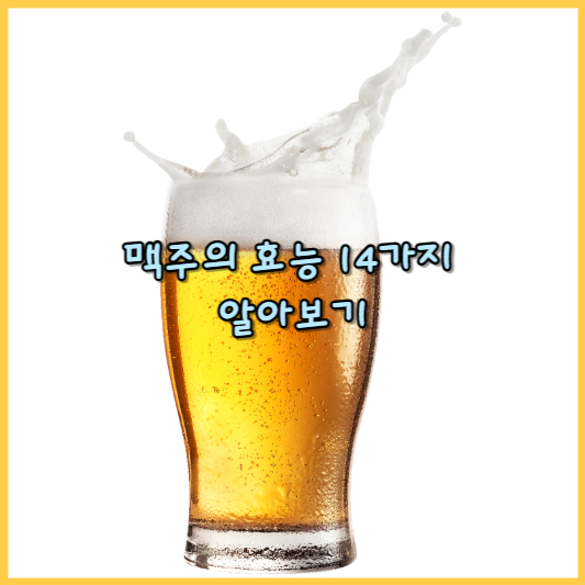  맥주의 효능 14가지 알아보기