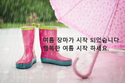 비오는 길 위 분홍색 장화와 분홍색 우산