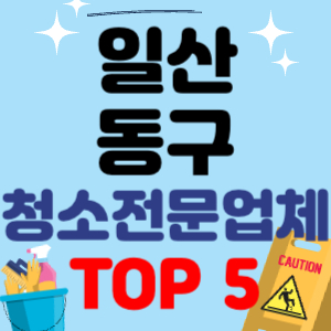 일산동구 입주청소 비용 가격 전문 아파트 후기 업체 이사청소 원룸청소 추천 견적 TOP 5