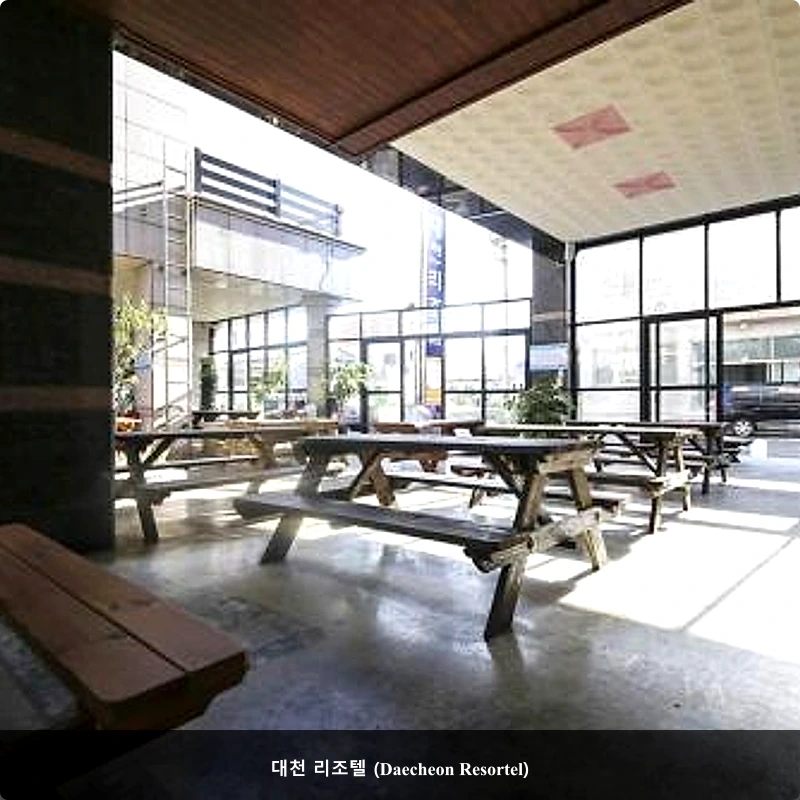 대천 리조텔 (Daecheon Resortel)_3