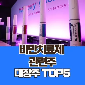 비만치료제 대장주 관련주 TOP5 총정리_10