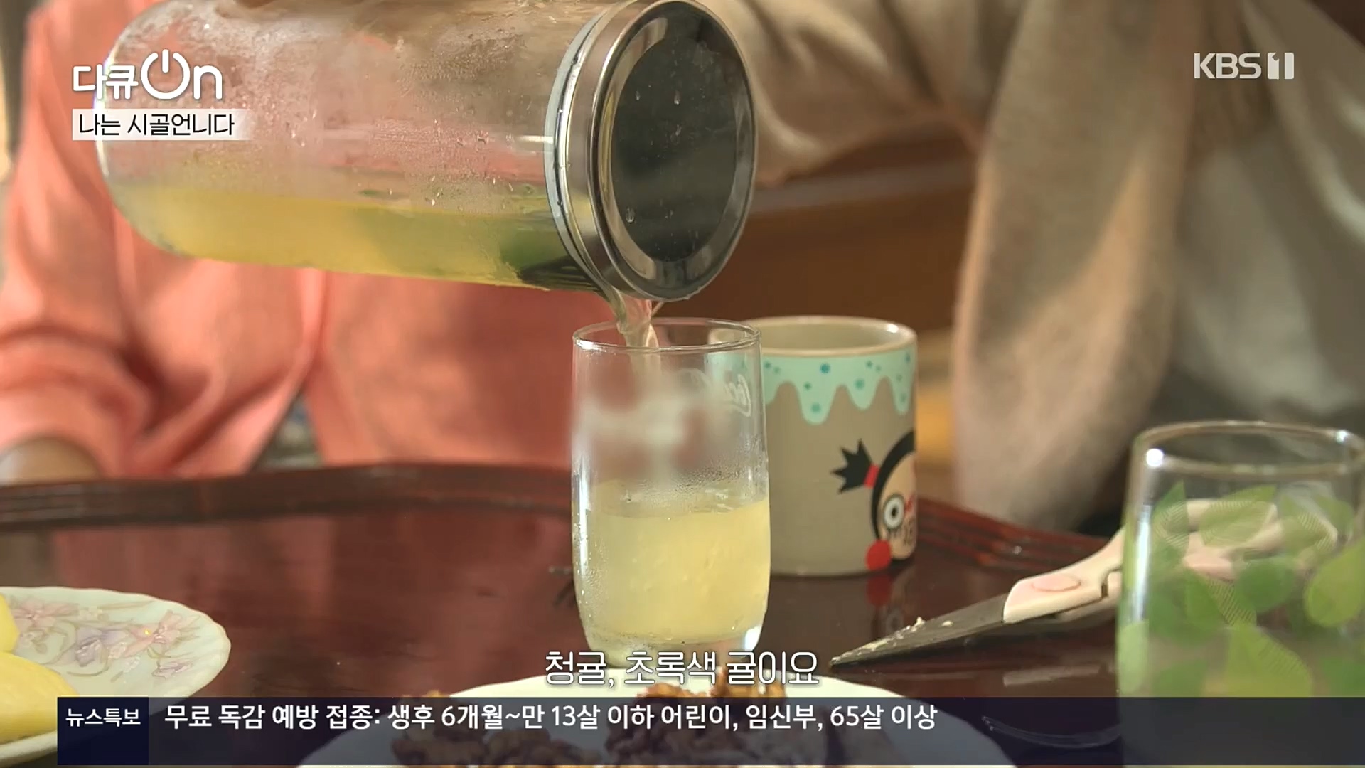 다큐 On.E165p.H264-F1RST.mp4_20221028_212310.000.jpg